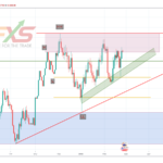 NZDUSD-19.02.26.-1D