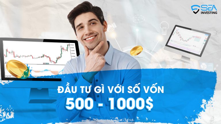 Đầu tư Gì Với Số Vốn 500 – 1000$?