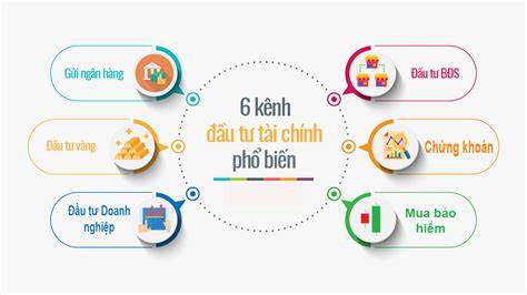 Định hướng trong tương lai về giáo dục đầu tư