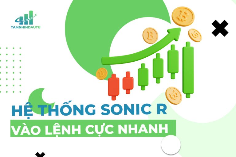 Sonic R là gì? Cách sử dụng hệ thống Sonic R hiệu quả nhất