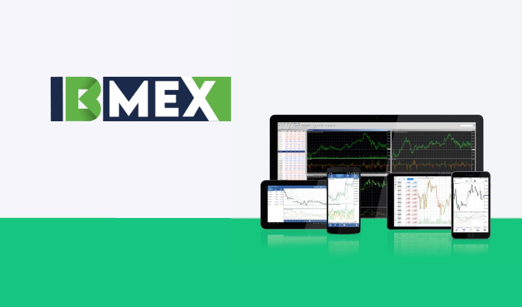 Review sàn IBMEX lừa đảo