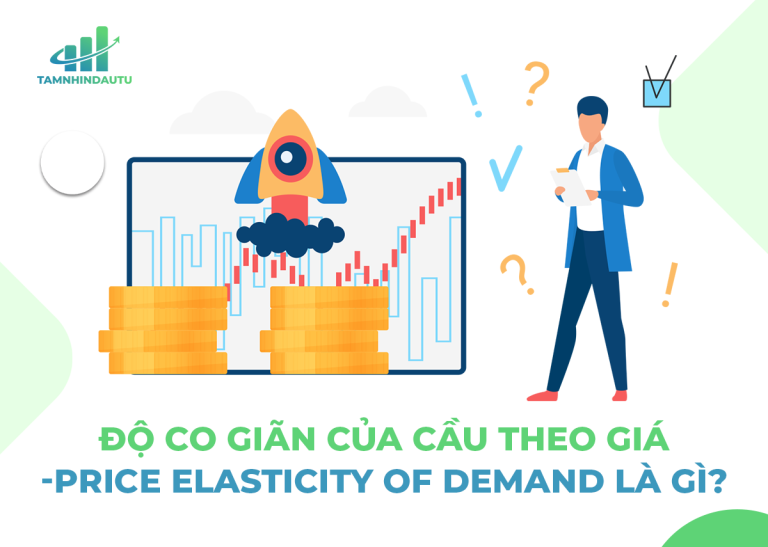 Độ co giãn của cầu theo giá là gì? Bài tập và ví dụ cụ thể