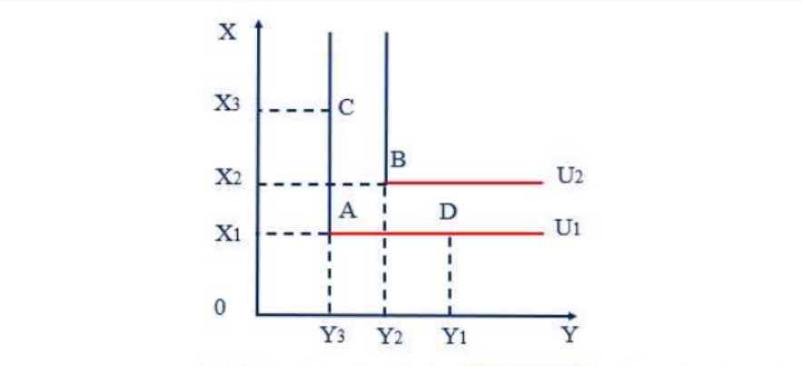 duong-dang-ich-hinh-dang-chu-l