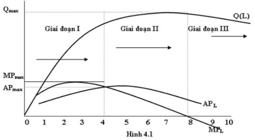 Mối quan hệ giữa năng suất biên và năng suất trung bình