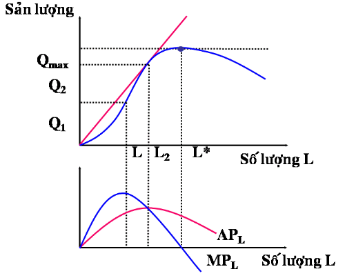 Quy luật năng suất biên giảm dần