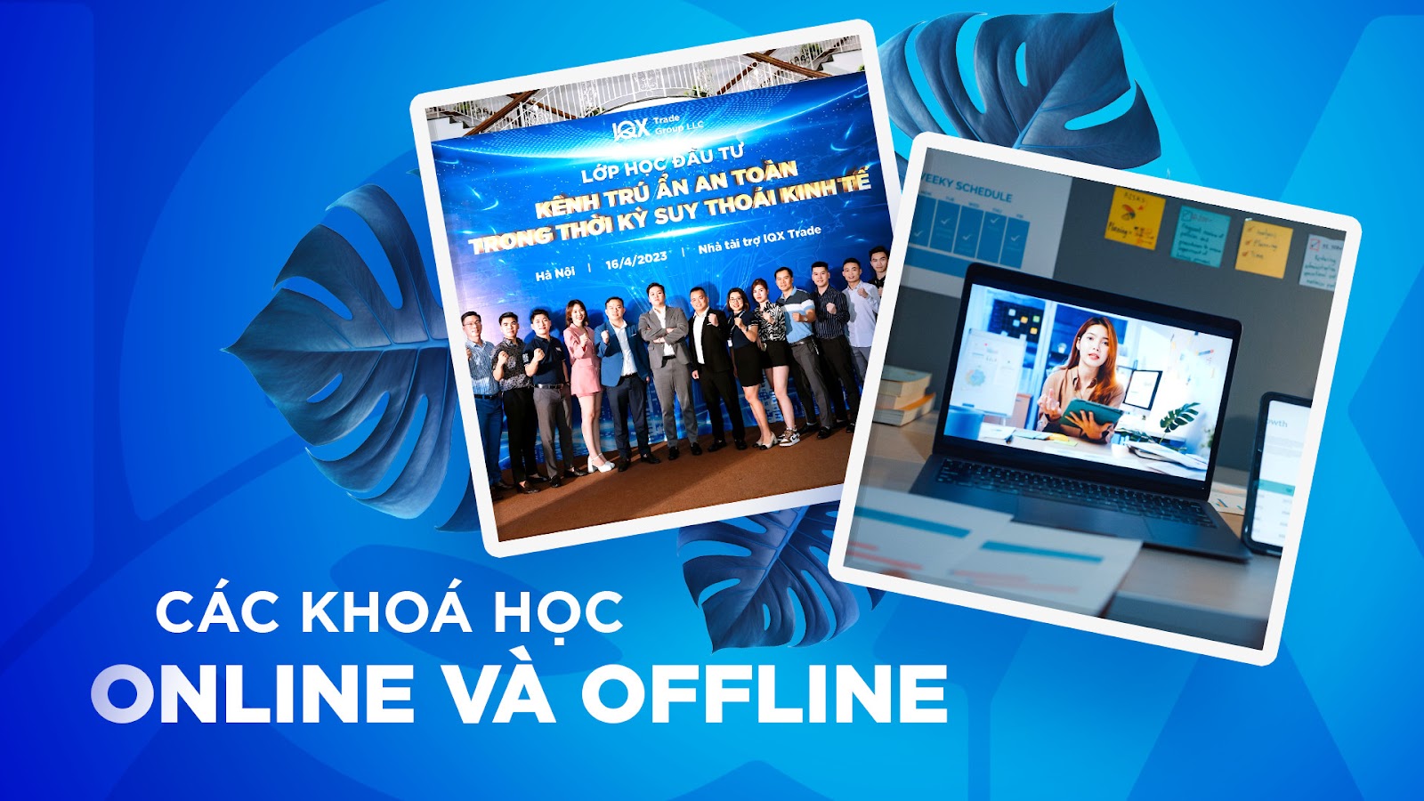 IQX Trade Academy hỗ trợ các nhà đầu tư