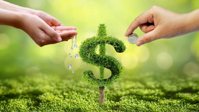 Ba cổ phiếu tiềm năng giúp nhân đôi giá trị đầu tư ngay trong năm tới