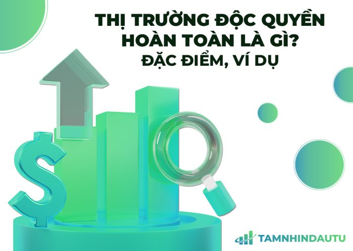 Thị trường độc quyền hoàn toàn: Ưu nhược điểm và ví dụ chi tiết