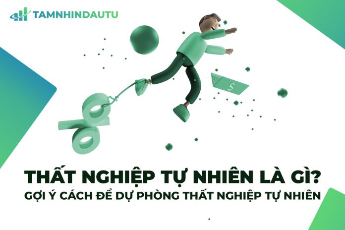 Thất nghiệp tự nhiên là gì? Nguyên nhân, ảnh hưởng và giải phép