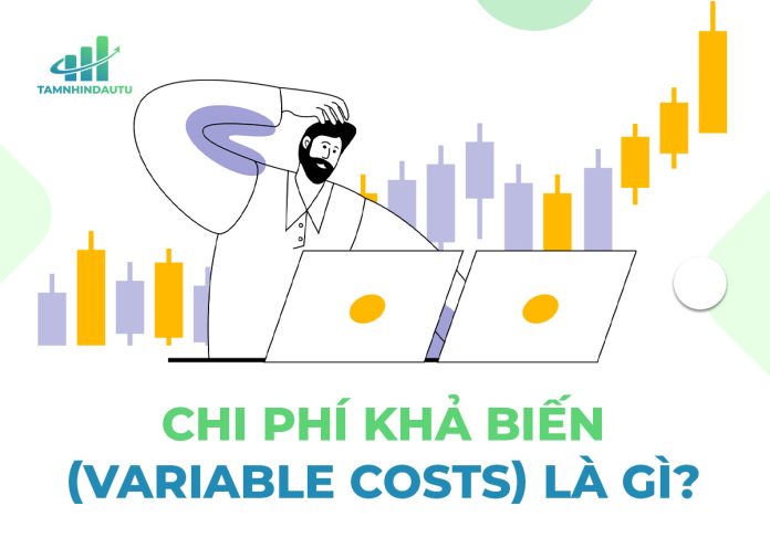 Chi phí khả biến Variable Costs