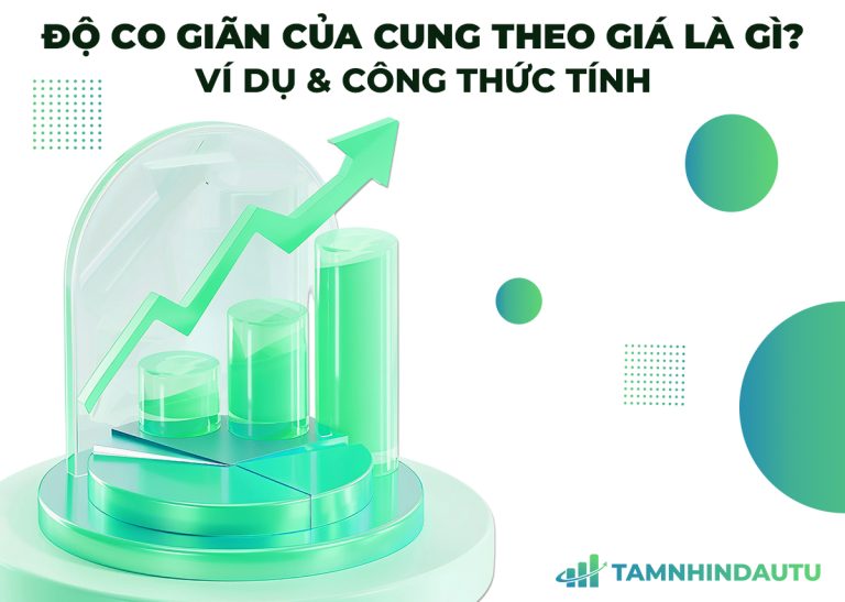 Co giãn của cung theo giá (Price Elasticity of Supply) là gì?