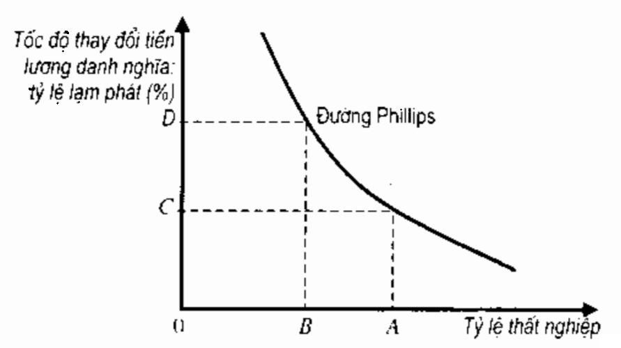 đường phillips biểu diễn quan hệ giữa tỷ lệ thất nghiệp và lạm phát
